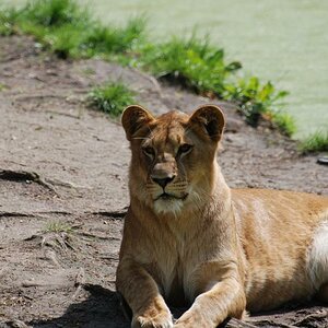 Besuch im ZOO 4