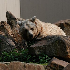 Besuch im ZOO 6