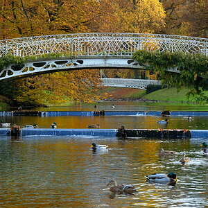 Brücke