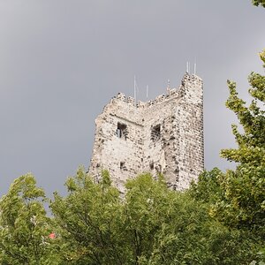 DSC 0719