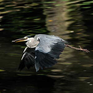 Tierpark Berlin-Friedrichsfelde