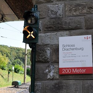 DSC 0919