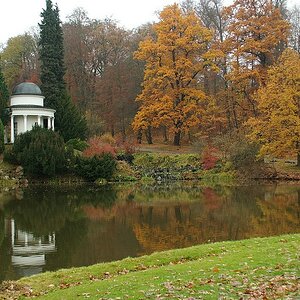 DSCF0667