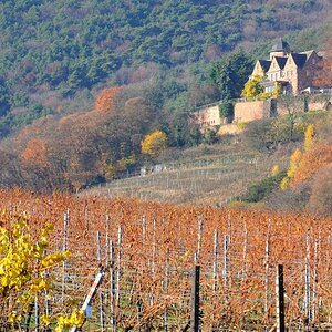 DSC 3171 Schloss