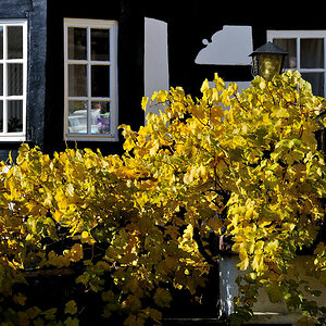 DSC 3194 Weinbalkon