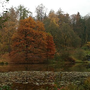 DSCF0696