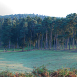 Wildpark Granat klein