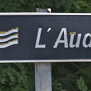 Aude