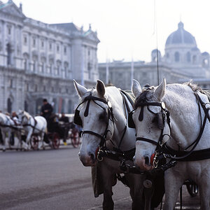 wien 039