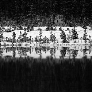 Tangle Flats, Jasper NP, schwarz/weiss