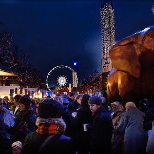 20091212 JW 008