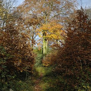 Herbst