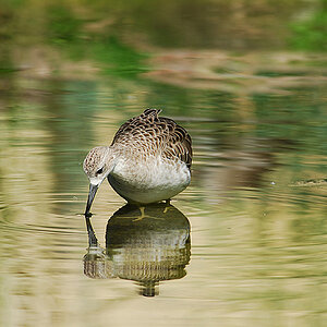 DSC 4484 2fs