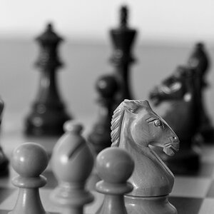 schach