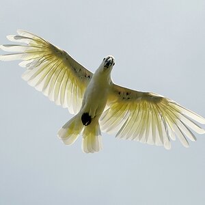 aacompZoo und Vogelpark 729 Kopie