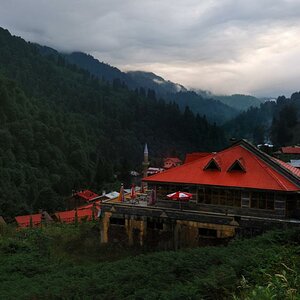 DSC 0072