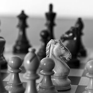 schach1
