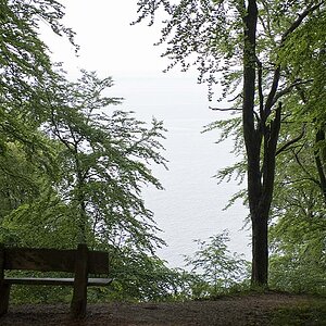 Bank im Wald am Meer 1k