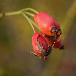 Herbst 05