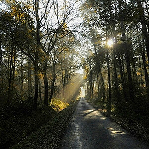user60308 pic107368 1260910266
Moppel's Sonntag Morgen
von mir modifiziert