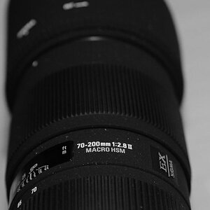 Sigma 70-200 f/2.8