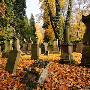 Jüdischer Friedhof #4
