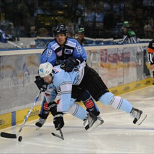 acomp Freezers Straub 0715