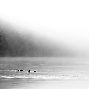 Herbstmorgen am Wöhrsee in Burghausen