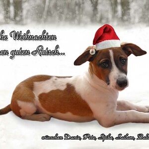 Weihnachtskarte