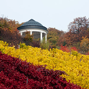 200910310059 Herbst im Rheingau - Tempel nahe Niederwalddenkmal, Rüdesheim