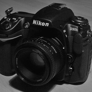 D300s