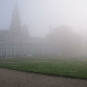 023 Gewächshaus im Nebel klein