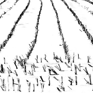 Emsaue - 21.12.2009 -