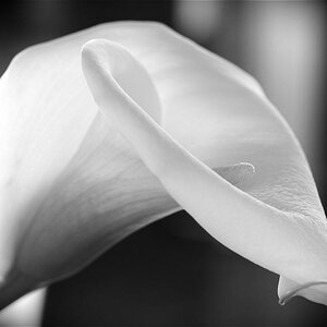 DSC 0097
