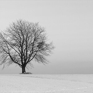 cR Schnee Stille 9942