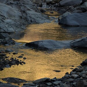 NF B 2009 03 04 11 47 24 rt