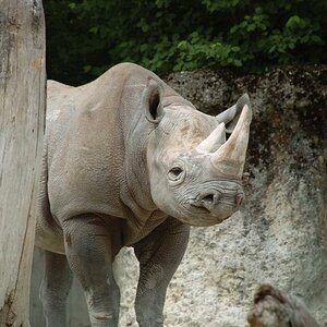 zoo 12.6.09 157