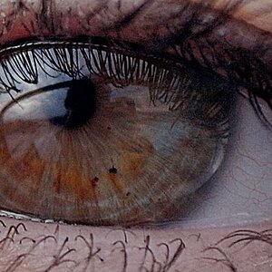auge