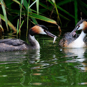 2009 07 26 15 14 07 NIKON D80 DSC 8173