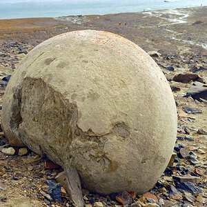 Boulders auf Champ Island