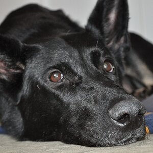 Caya Portrait