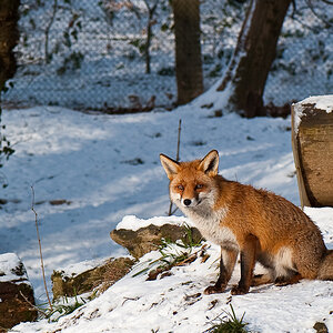 Winter 2010 050