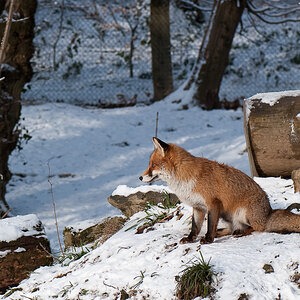 Winter 2010 051