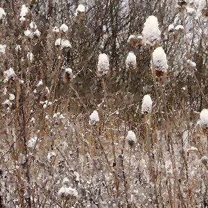Winter - Impressionen