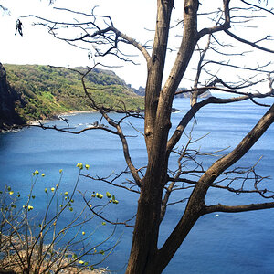 Mirante dos Golfinhos