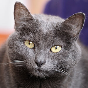 DSC5642 nff