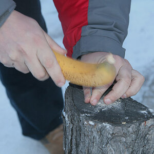 Banane als Hammer bei -60 Grad