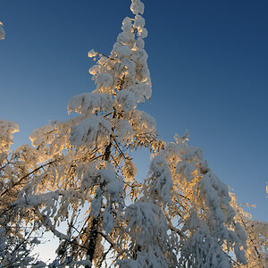 bizarre Winterlandschaft