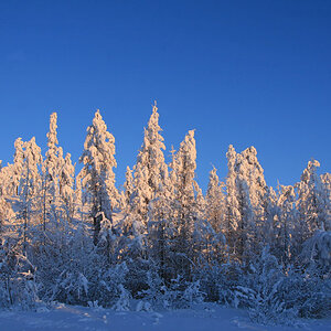 bizarre Winterlandschaft