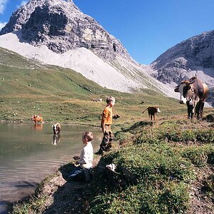 Meine Jungs am Rappensee